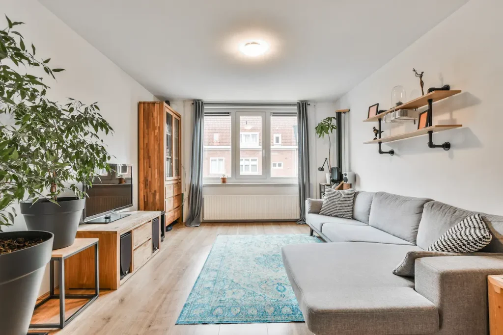 cozy-living-room-modern-apartment
